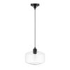 Matte Black Finish 1 Light Pendant with Clear Glass Shade