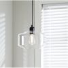 Matte Black Finish 1 Light Pendant with Clear Glass Shade